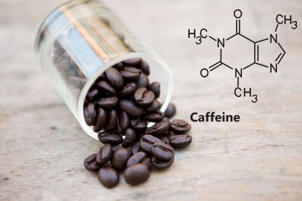 taurine vs caffeine
