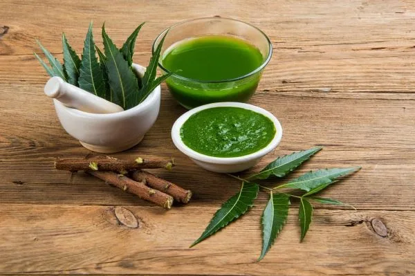 moringa and neem dietary supplement